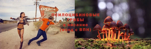 метадон Гусев