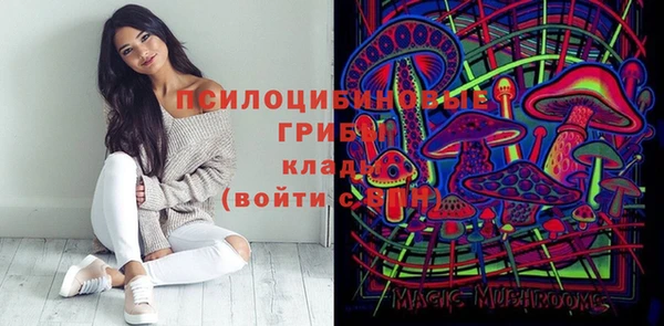 кокс Дмитровск