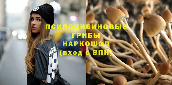 a pvp Гусиноозёрск