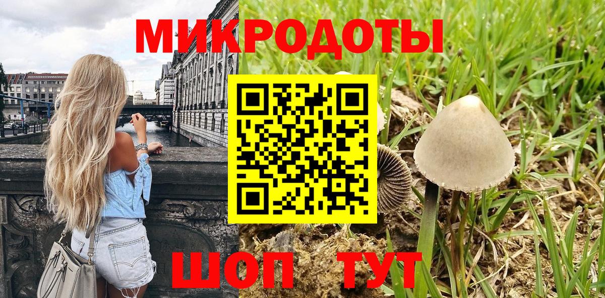 Псилоцибиновые грибы Psilocybine cubensis Батайск